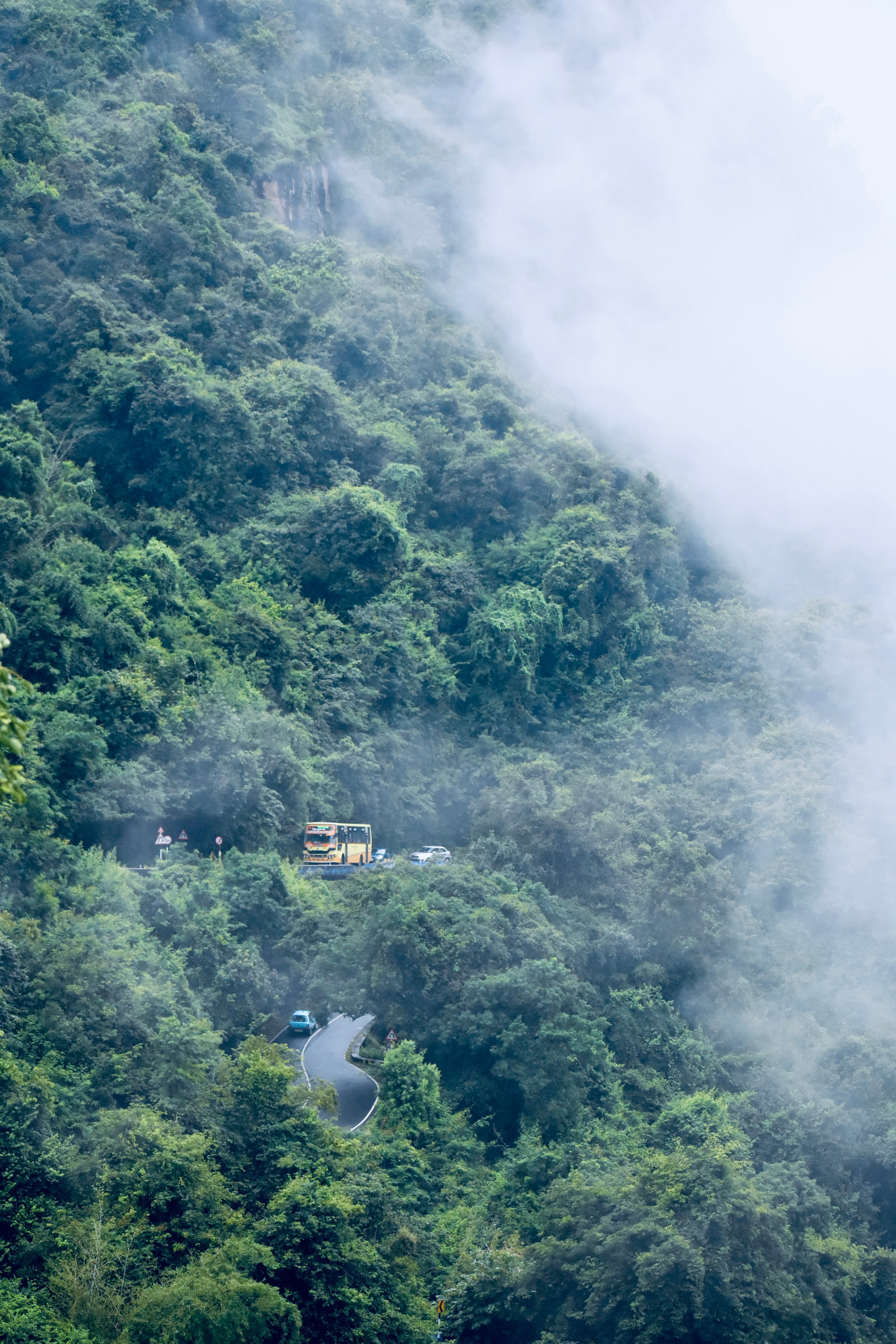 Valparai Landscape
